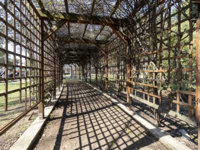 ...e del �tunnel� fiorito non resta che il suo scheletro in legno